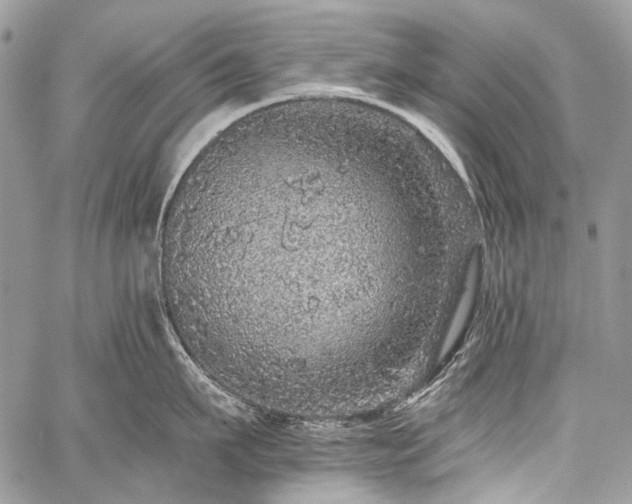 X0000059240911200510171428