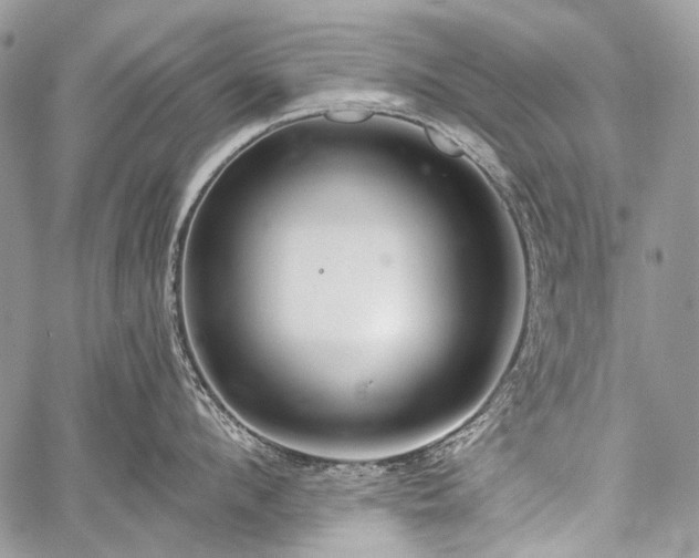 X0000059240912200510171428