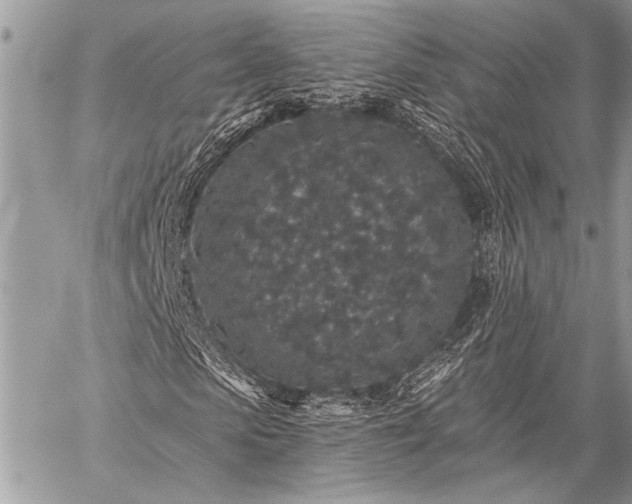 X0000059240913200510171427