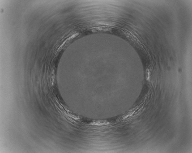 X0000059240915200510171427