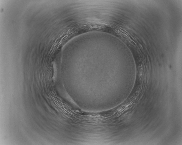 X0000059240916200510171427