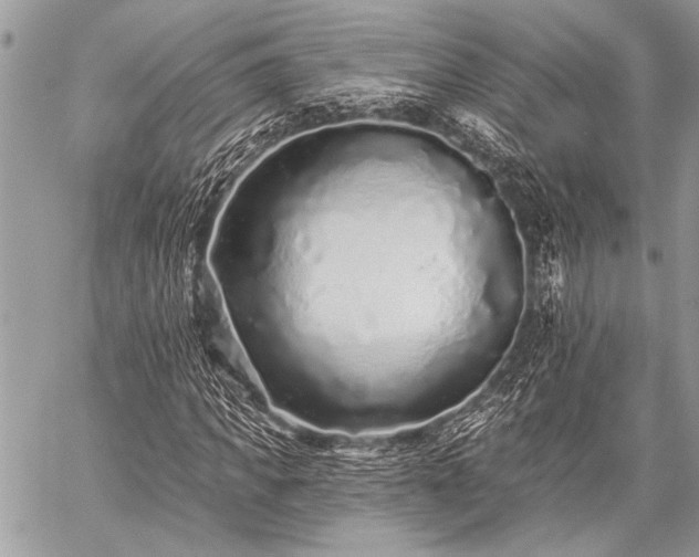 X0000059240917200510171427