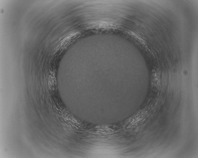 X0000059240918200510171427