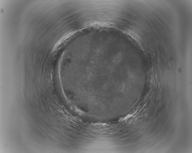 X0000059240919200510171427