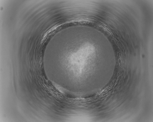 X0000059240920200510171427