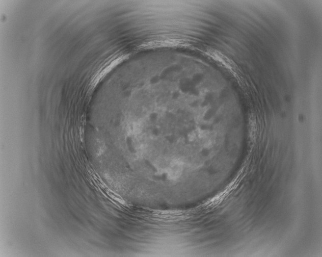 X0000059240921200510171427