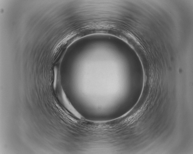 X0000059240922200510171427