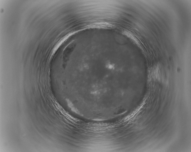 X0000059240923200510171427