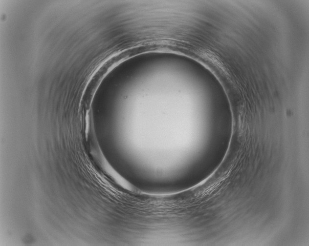 X0000059240924200510171427