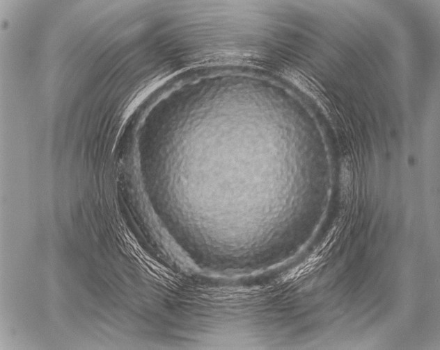 X0000059240925200510171427