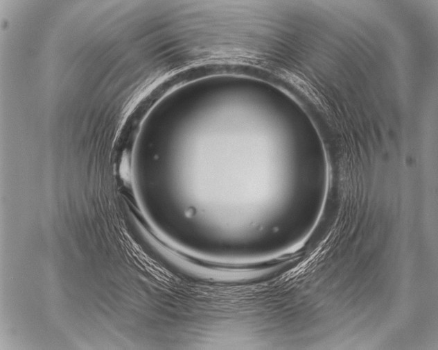 X0000059240926200510171427