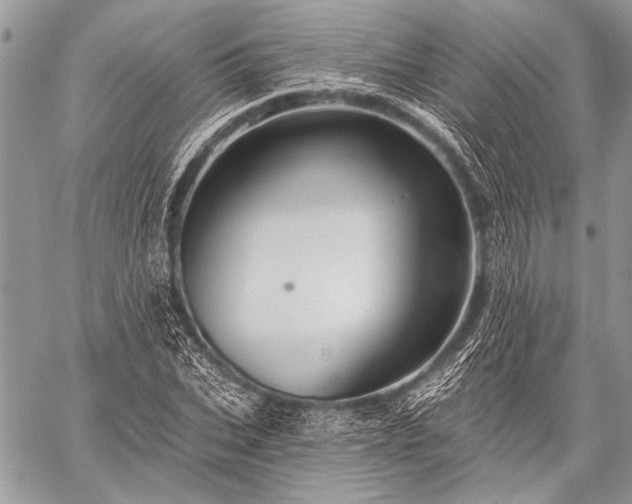 X0000059240927200510171427