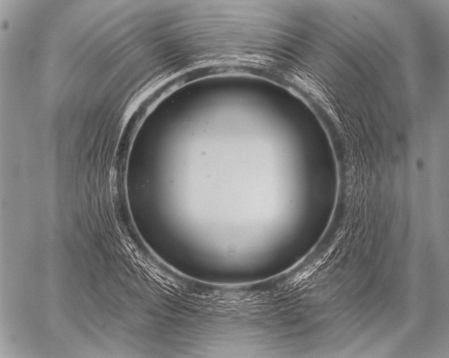 X0000059240928200510171427