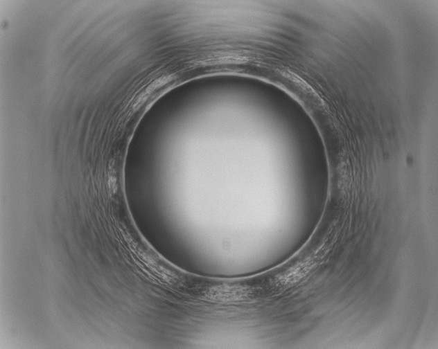 X0000059240929200510171427