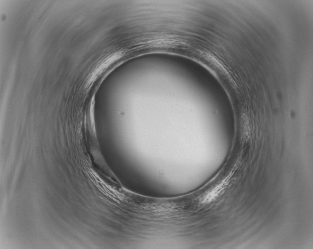 X0000059240930200510171427