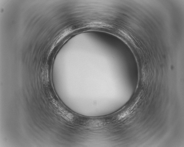 X0000059240931200510171427