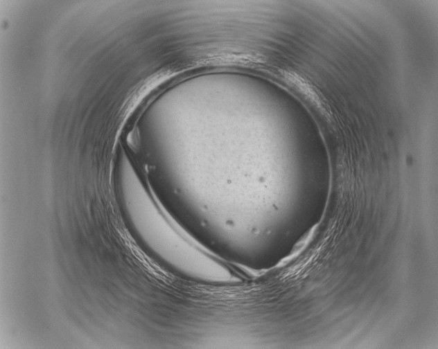 X0000059240932200510171427