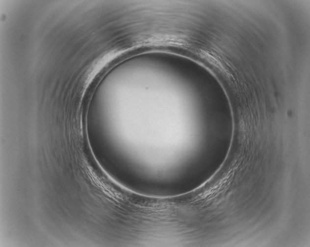 X0000059240934200510171427