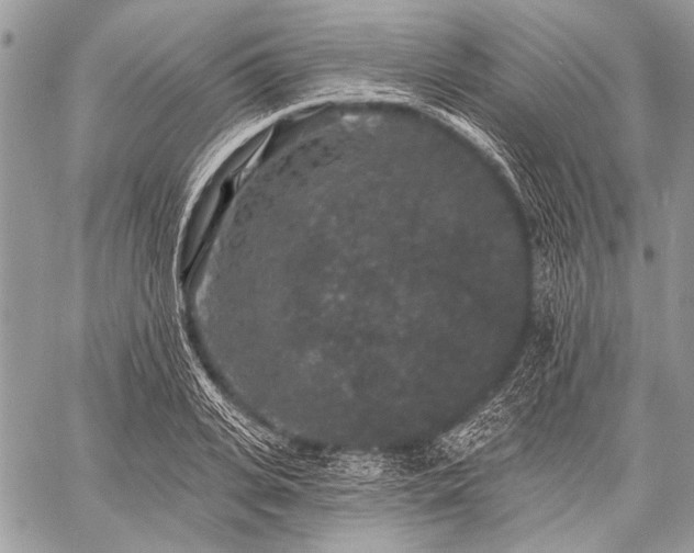 X0000059240935200510171427