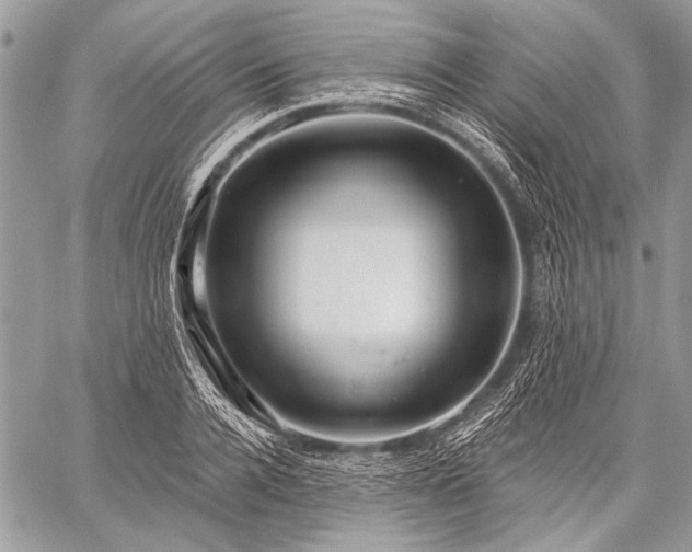 X0000059240936200510171427