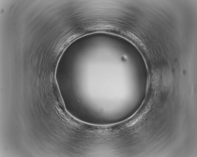 X0000059240937200510171427