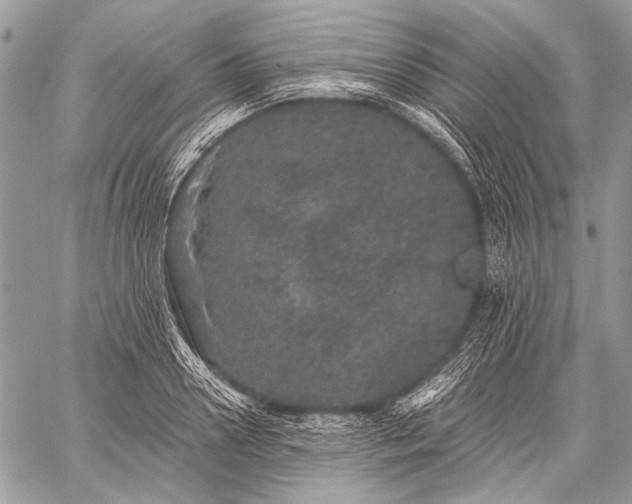 X0000059240938200510171427