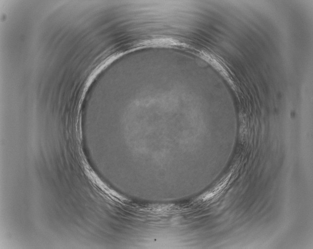 X0000059240939200510171427