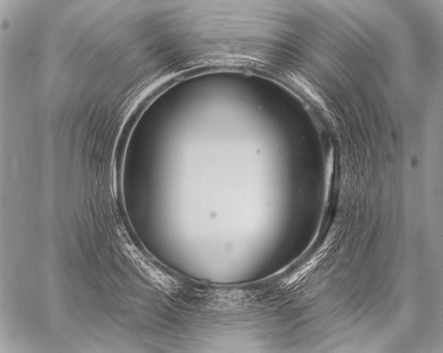 X0000059240940200510171427