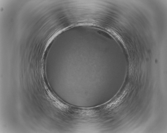 X0000059240941200510171427