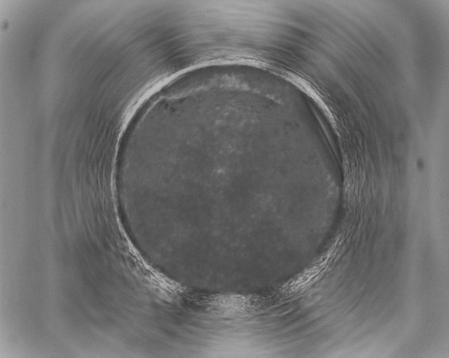 X0000059240943200510171427