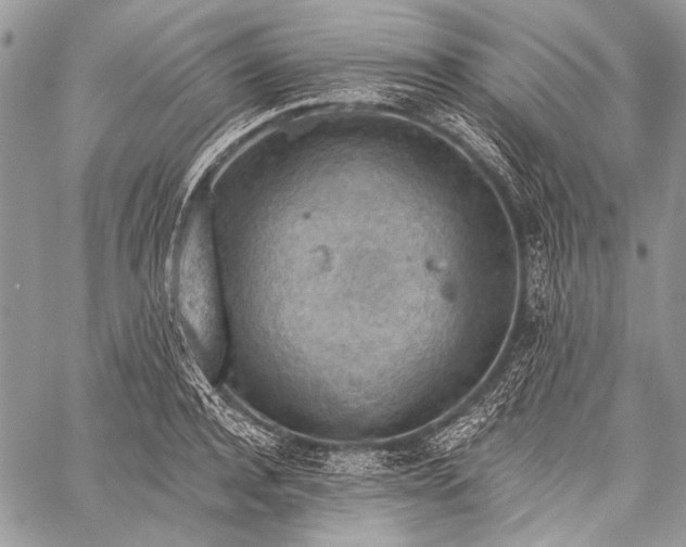 X0000059240944200510171427