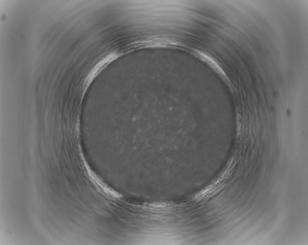 X0000059240946200510171428