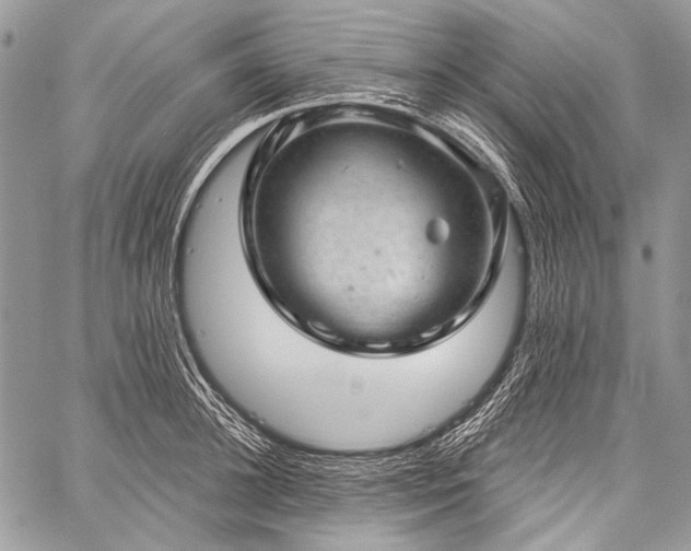 X0000059240948200510171428