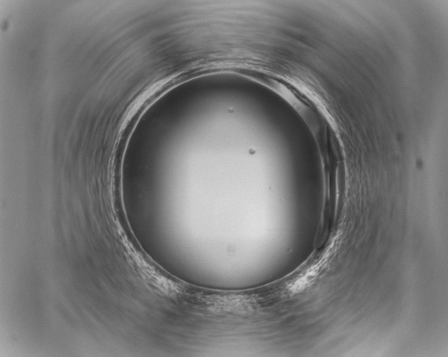 X0000059240949200510171428