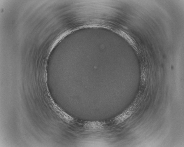 X0000059240950200510171428