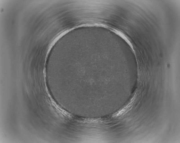 X0000059240951200510171428