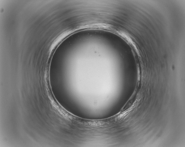 X0000059240952200510171428