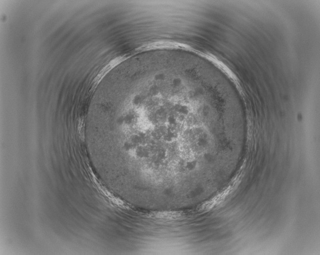 X0000059240953200510171428