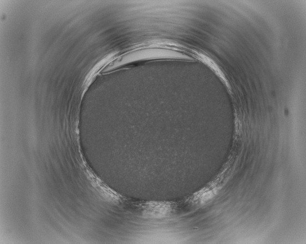 X0000059240954200510171428