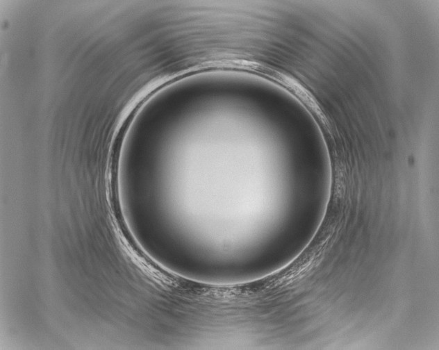 X0000059240955200510171428