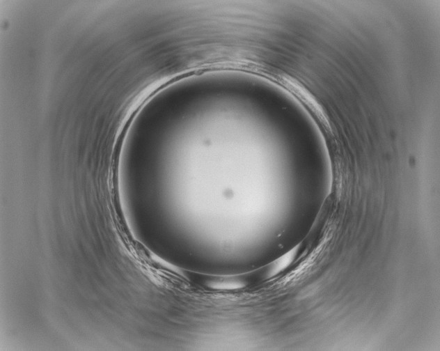 X0000059240956200510171428