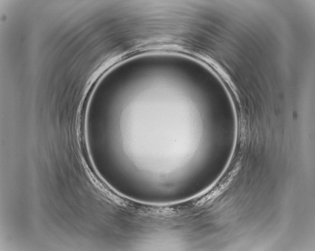 X0000059240957200510171428