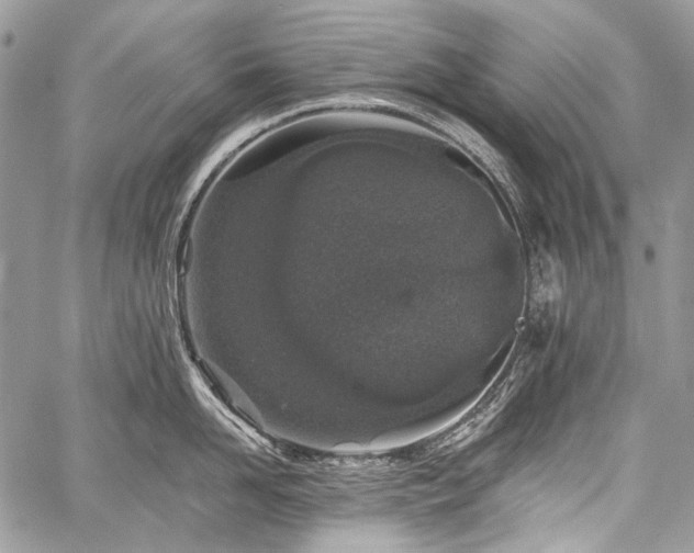 X0000059240958200510171428