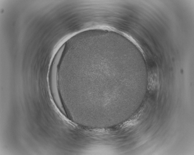 X0000059240959200510171428