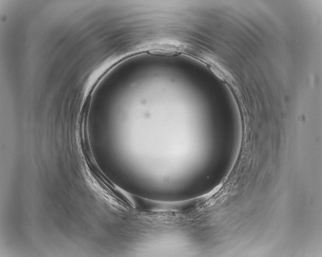 X0000059240960200510171428