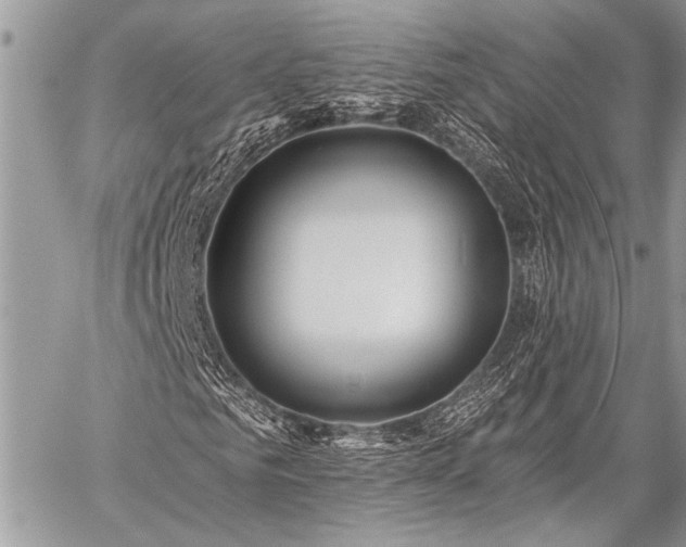 X0000059240961200510171427