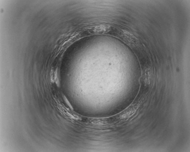 X0000059240962200510171427