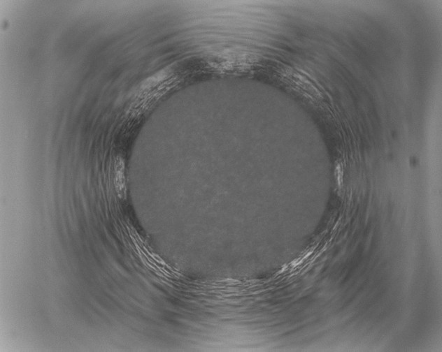 X0000059240963200510171427