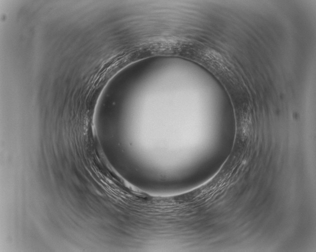 X0000059240964200510171427