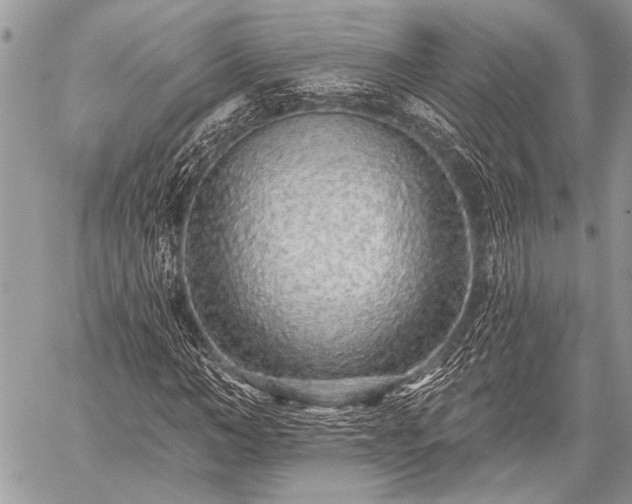 X0000059240966200510171427